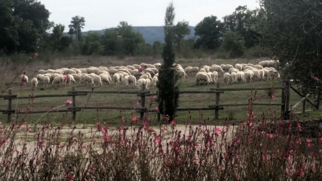 Maremma Country Chic Le Ginestre Vila Sovana Exterior foto