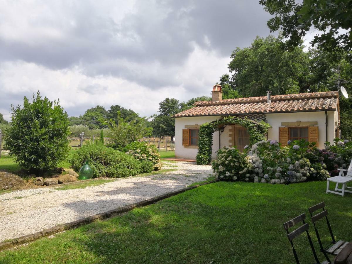 Maremma Country Chic Le Ginestre Vila Sovana Exterior foto